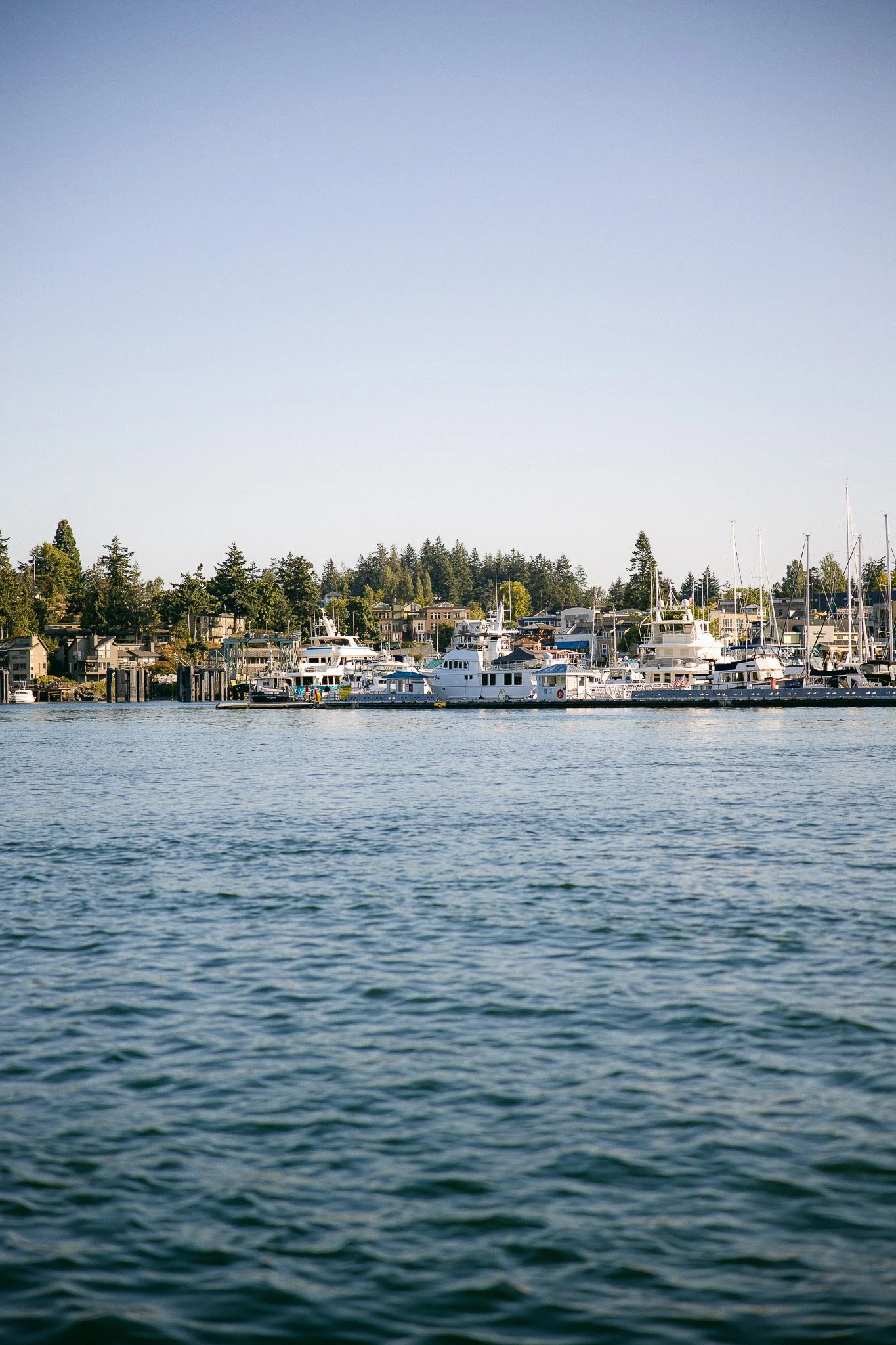 San Juan Island_Nicole Schmiedl-30.jpg