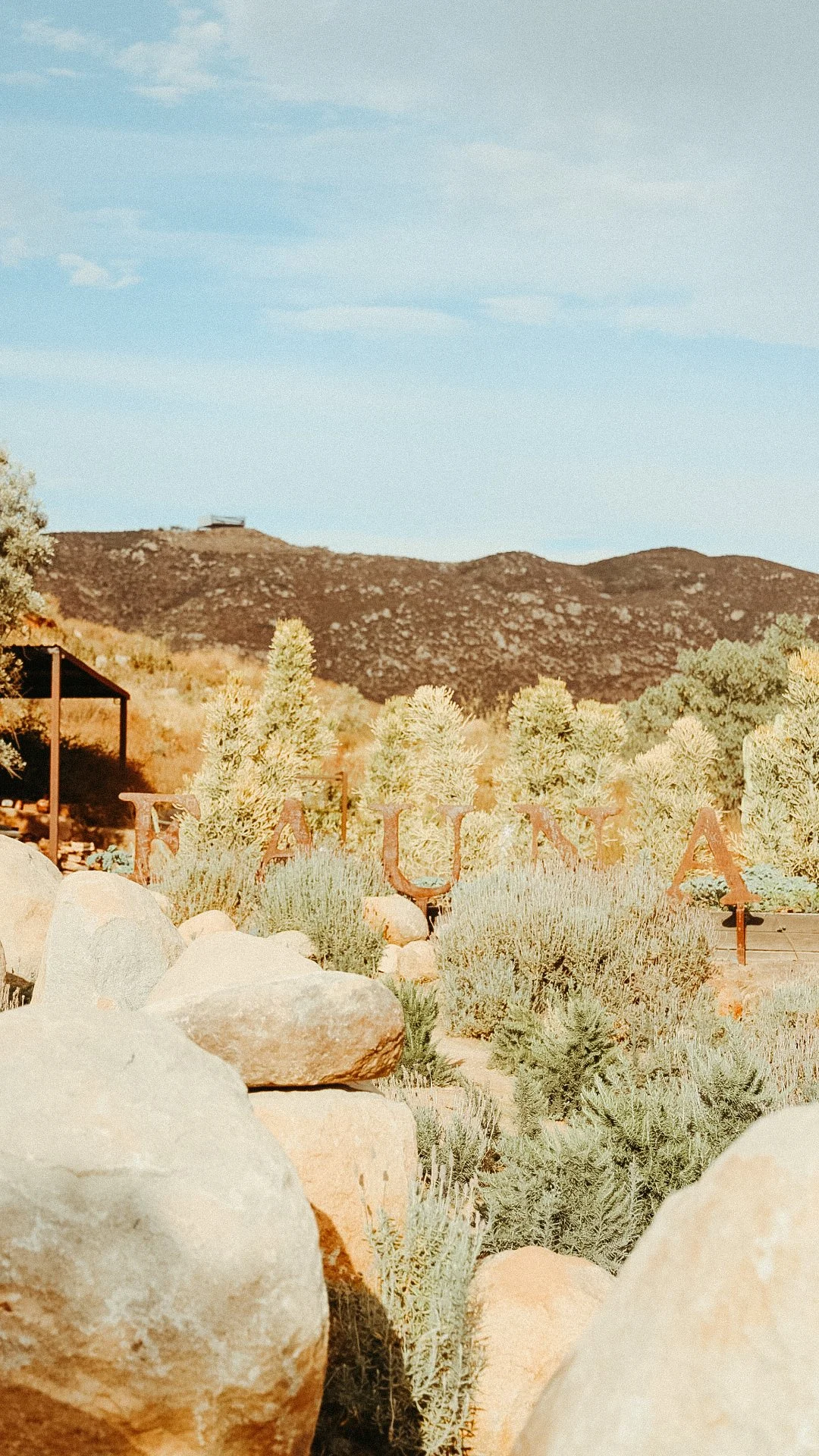 FAUNA Restaurant by Nicole Schmiedl