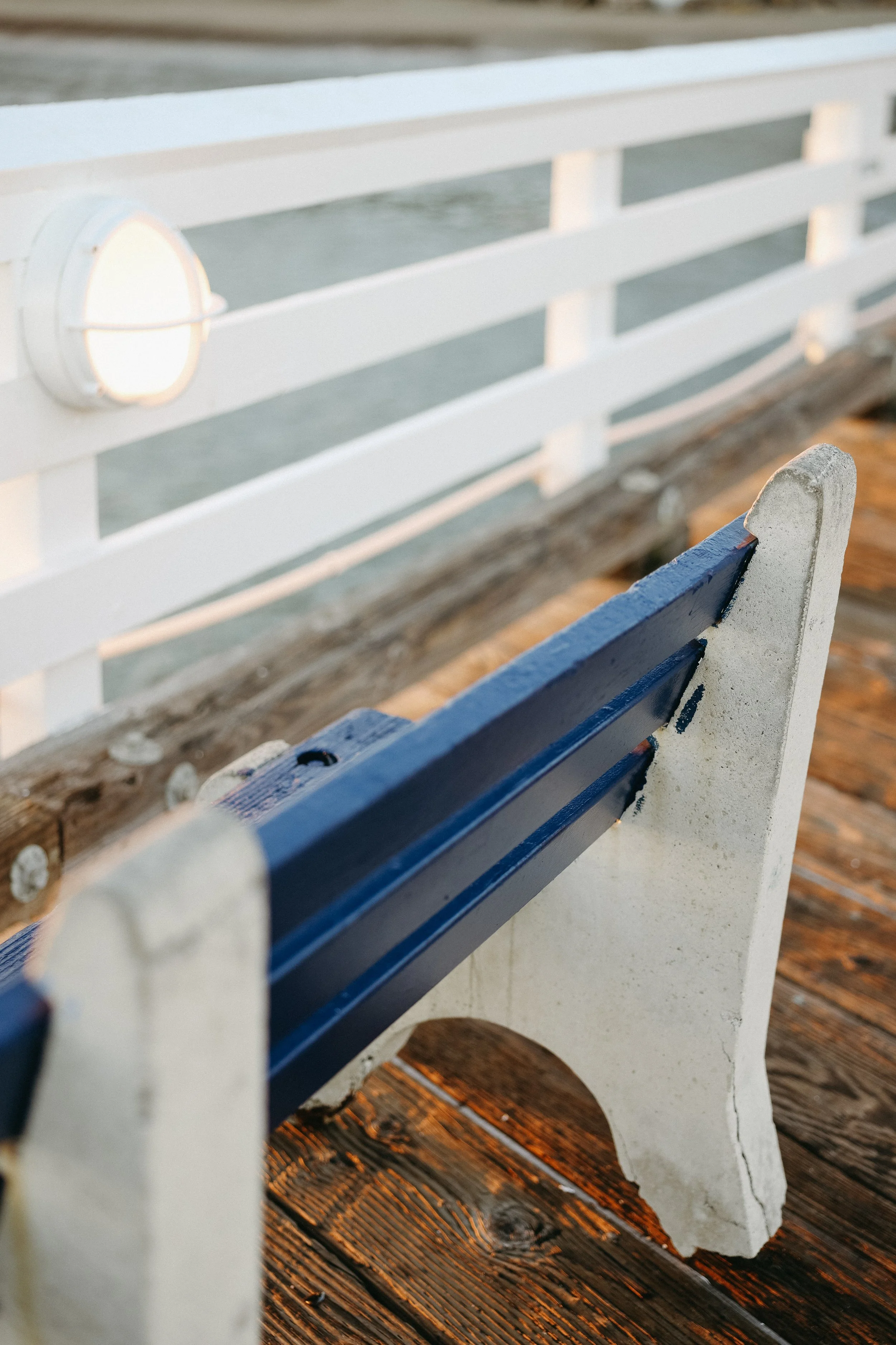 Malibu Pier by Nicole Schmiedl