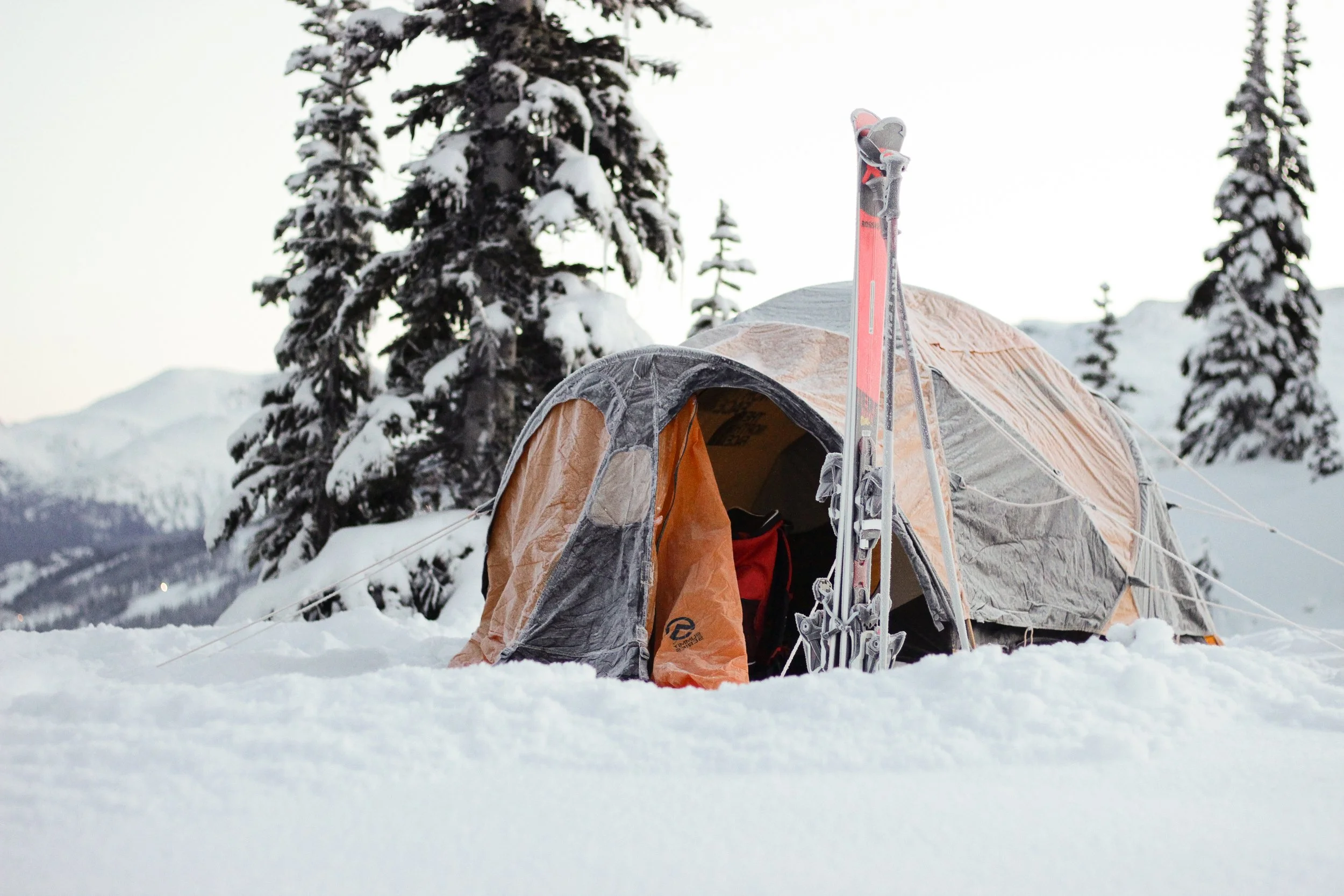 The North Face_Nicole Schmiedl_1-01.jpg