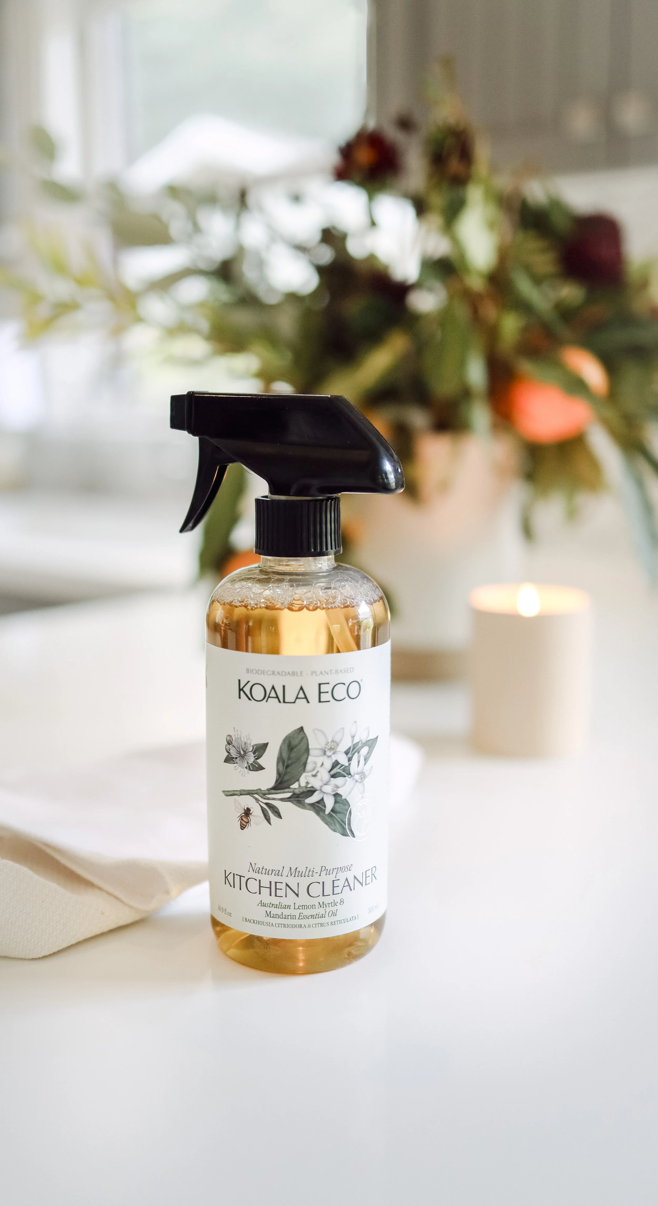 Koala Eco by Nicole Schmiedl