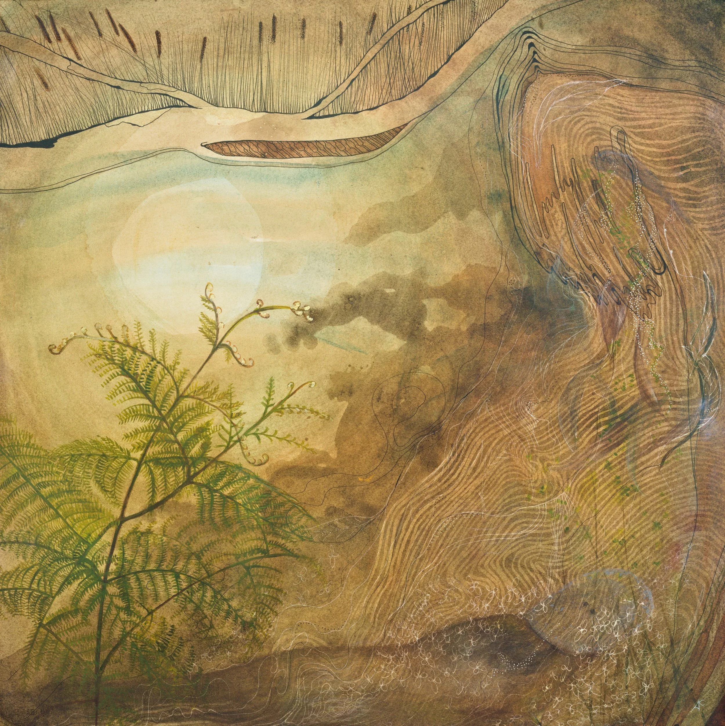 Drawn to the Forest