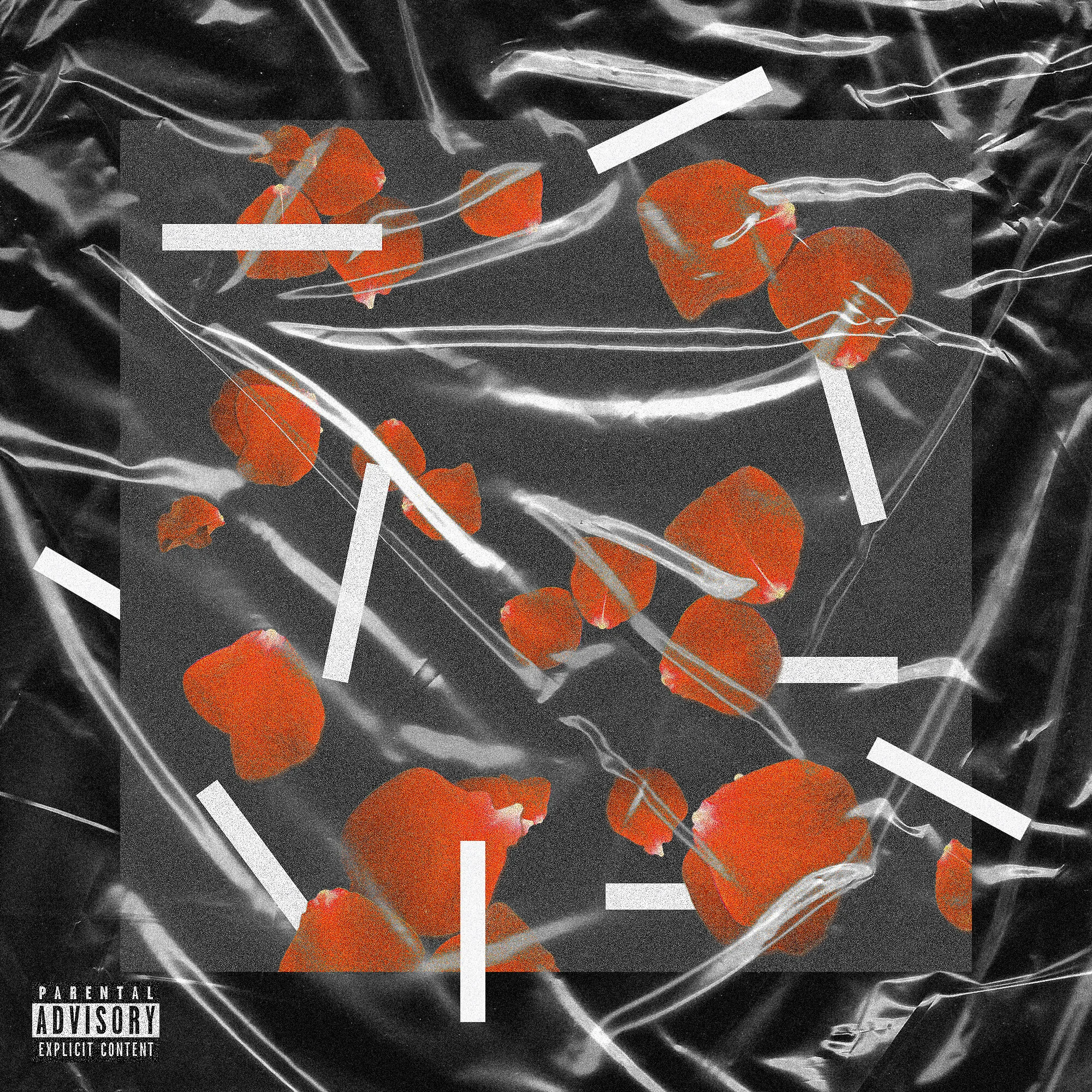 flowers white lines.jpg