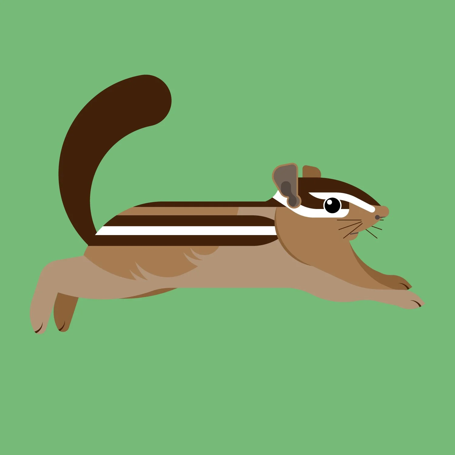 Running-Chipmunk_1.jpg