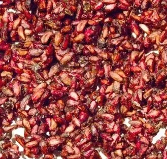 Pomegranate Seeds.jpg
