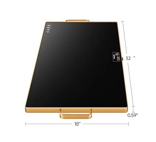Electric Warming Tray.jpg