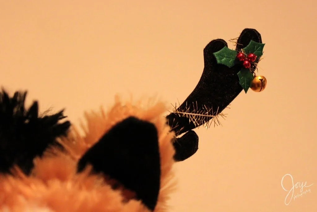 Christmas Just Snuck Up Again