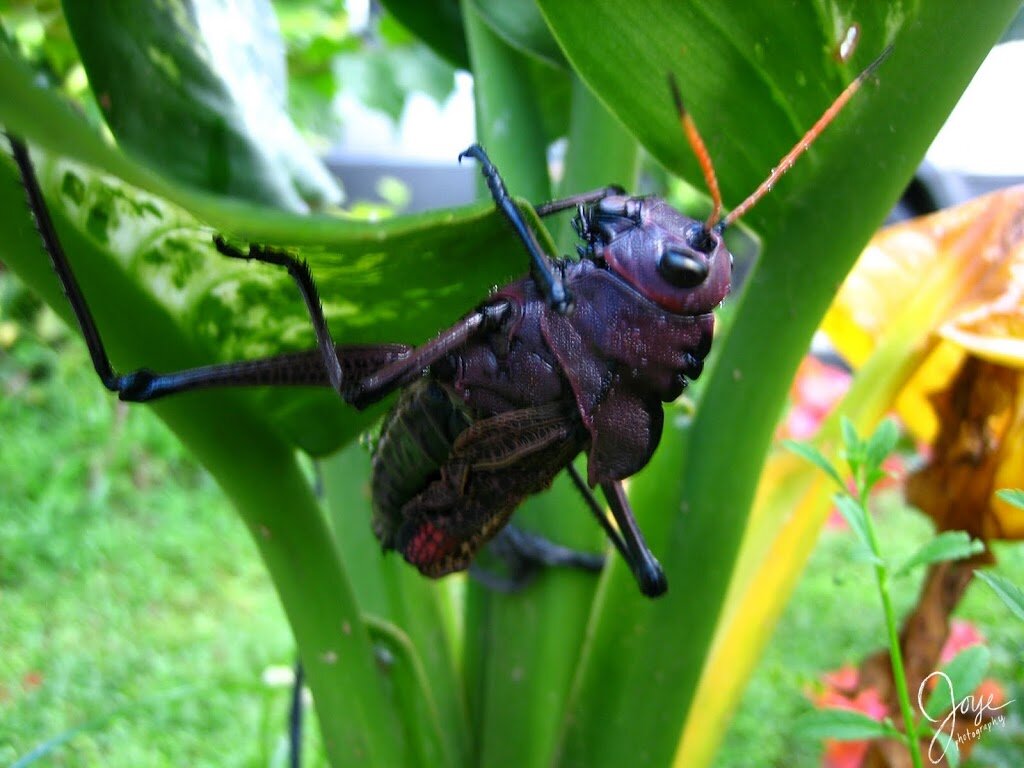 [182]. [183]. 184. 185. 186. 187. 188. [189]. 190. 191.