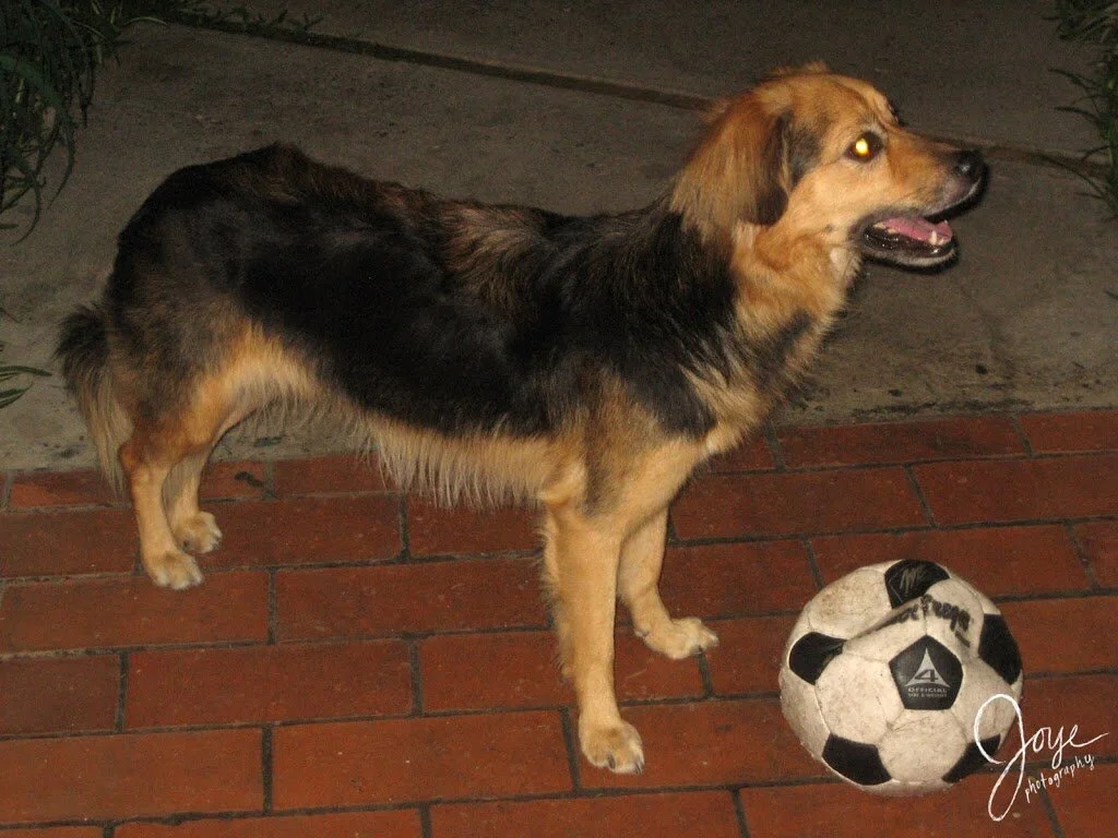 160! 161. 162. 163. 164. 165! 166. 167. 168.