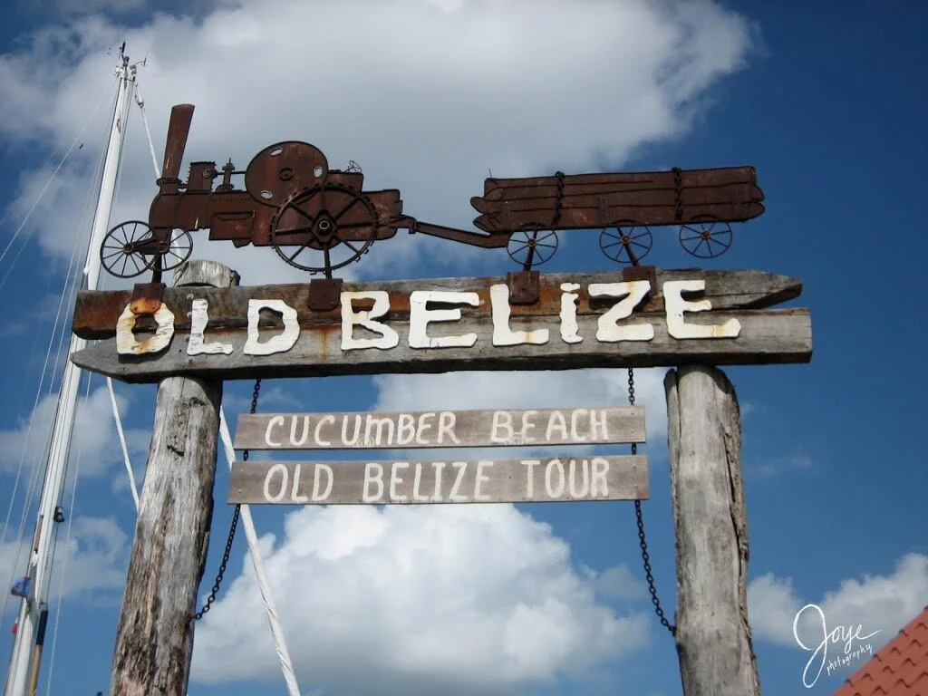BELIZE WEEK! seventyone. seventytwo. seventythree. seventyfour. 75! seventysix. seventyseven. seventyeight. seventynine.