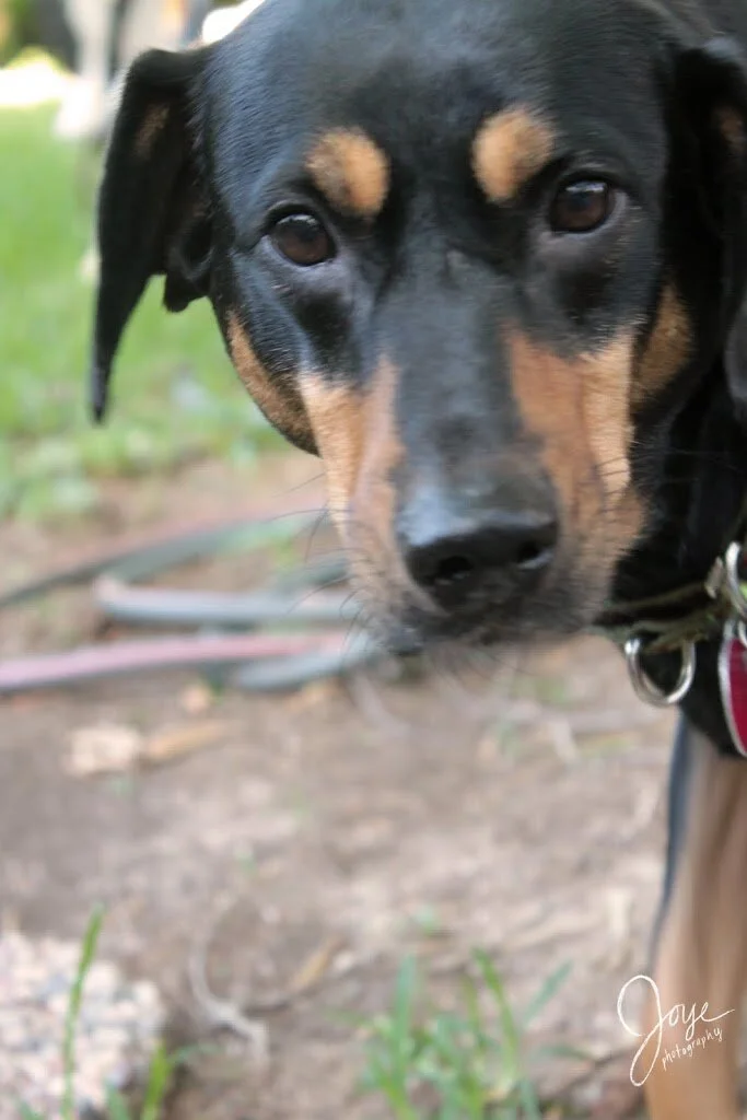 Great Mornings Start With Photography