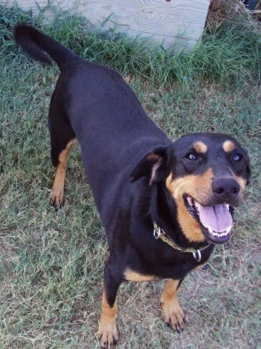 Apparently my heart is able to be won in under an hour.