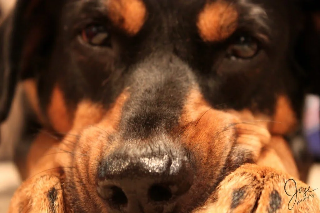 Can You Pray For Us Today?