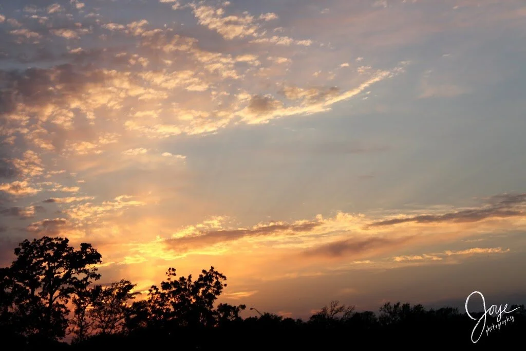 Hurricane Harvey: How We Fared + What Now?