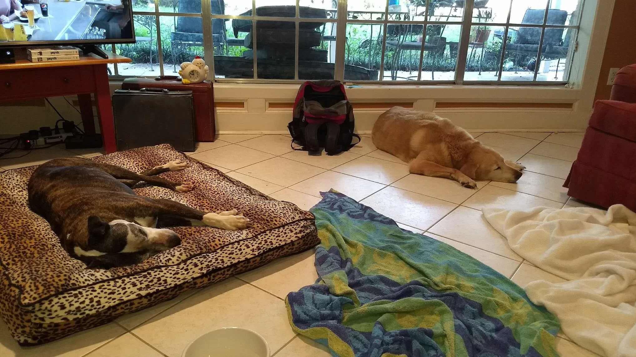 Safe, Loved + Rested