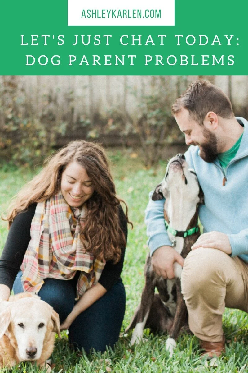 Let's Just Chat Today: Dog Parent Problems