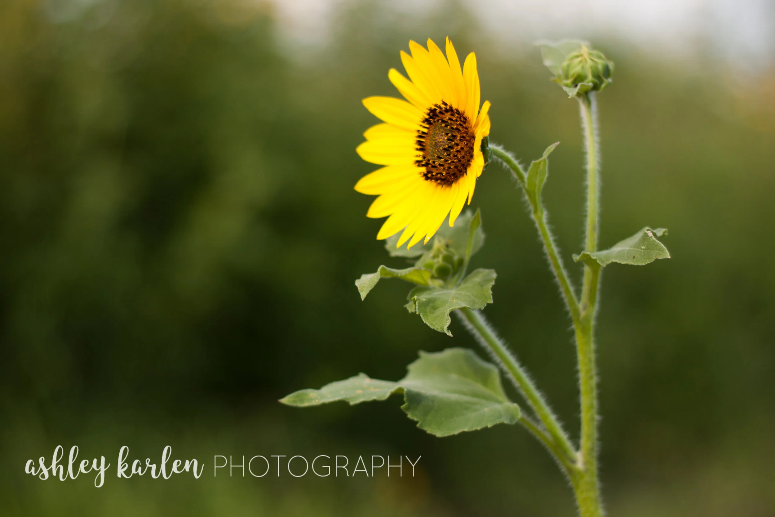 3 Things I'm Doing to Grow Closer to God This Summer