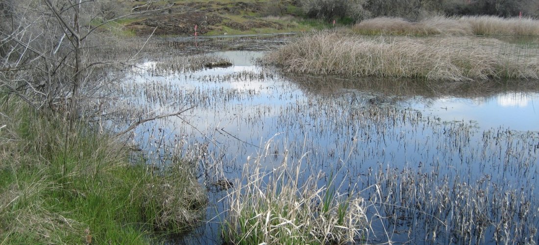 THE DALLES DISPOSAL SITE