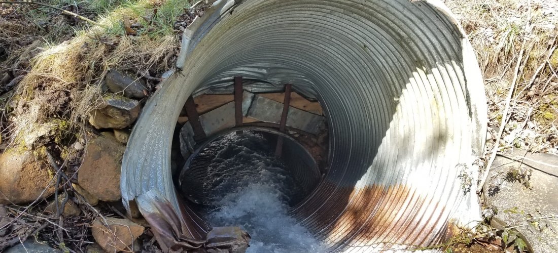 Bells Mountain Culvert Assessment