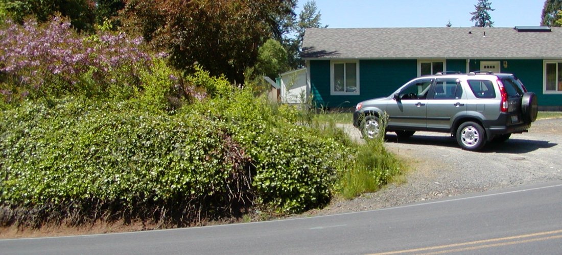 Little Kalama Rd Landslide Assessment