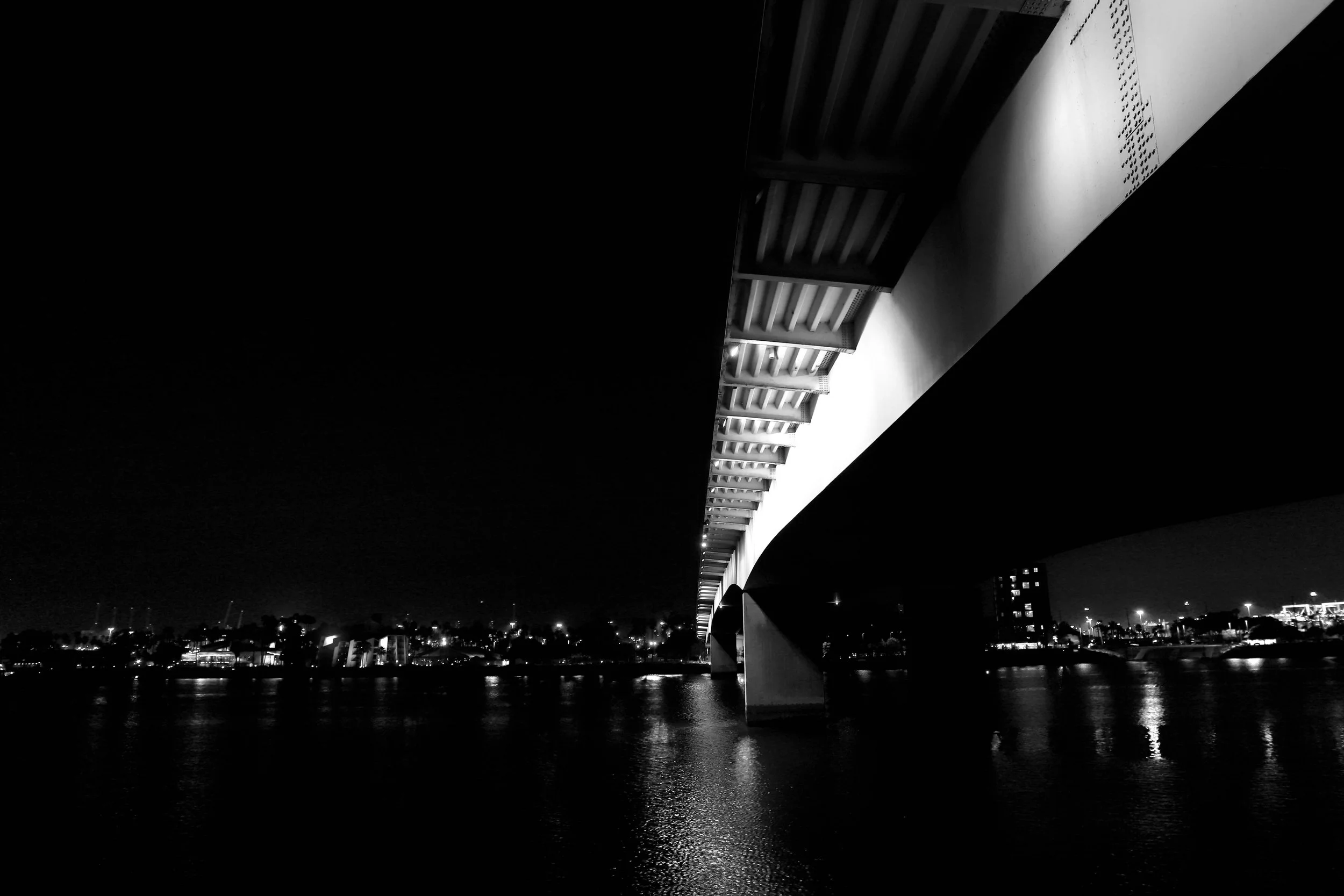 bridge1bw.jpg