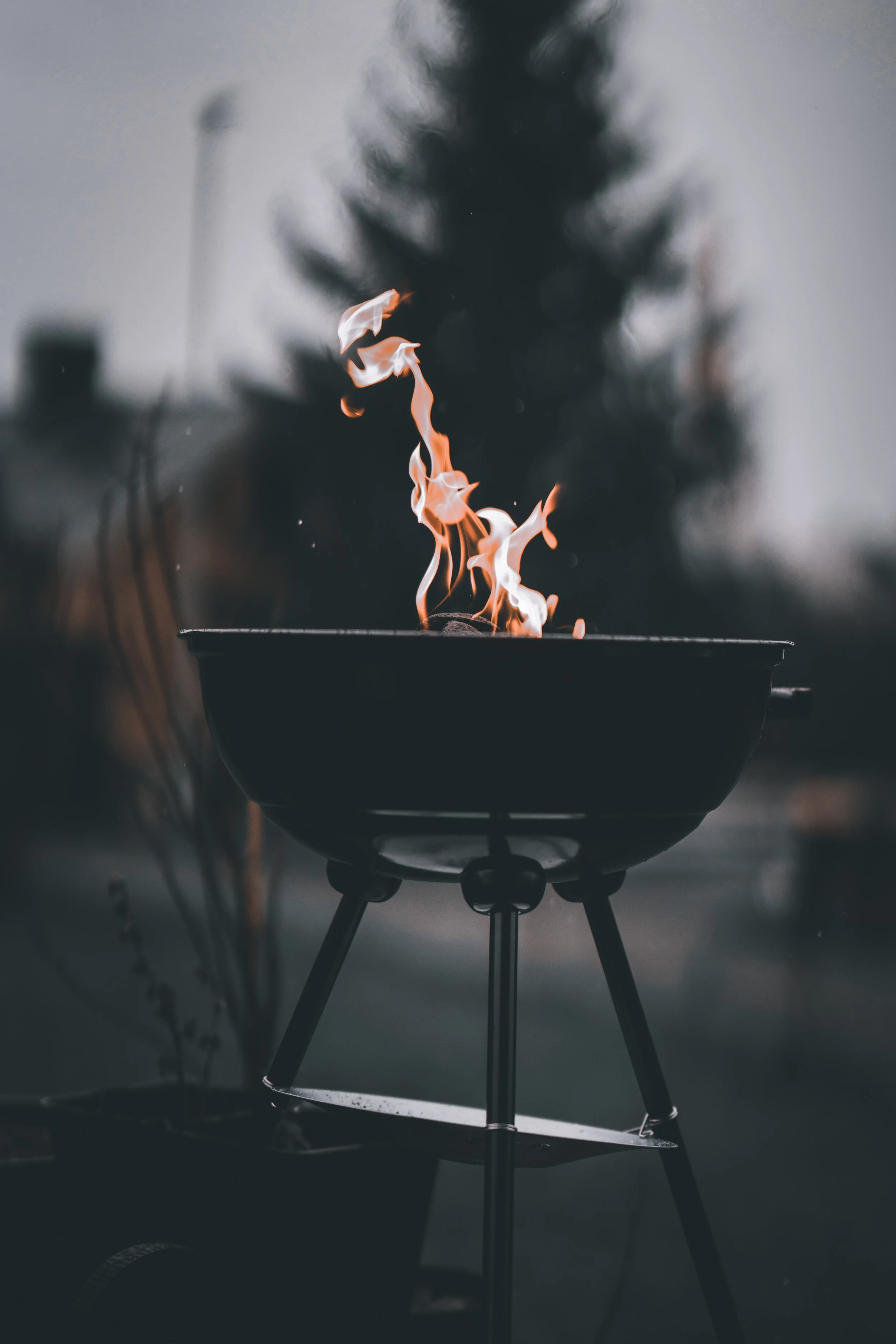 Grill it Up