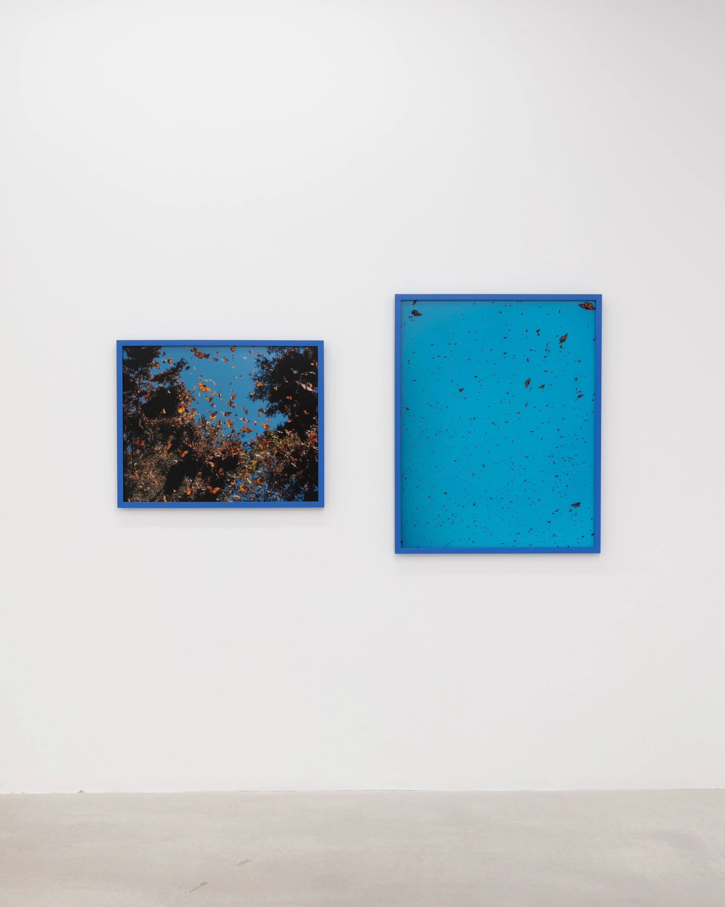 Brendan George Ko — Patel Brown