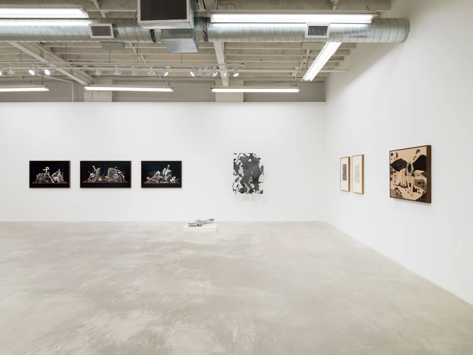 PBG-Five Years-007.jpeg