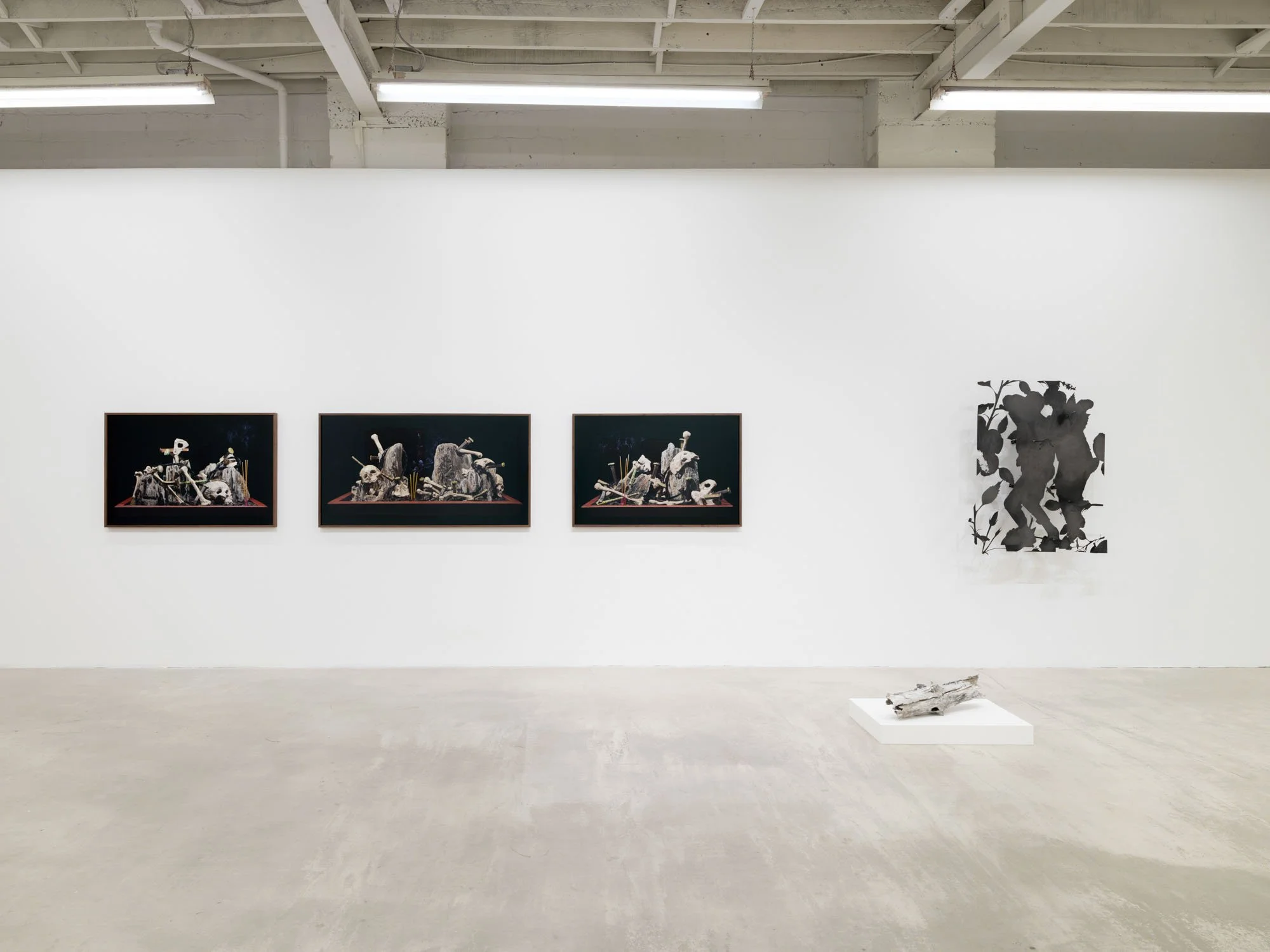 PBG-Five Years-008.jpeg