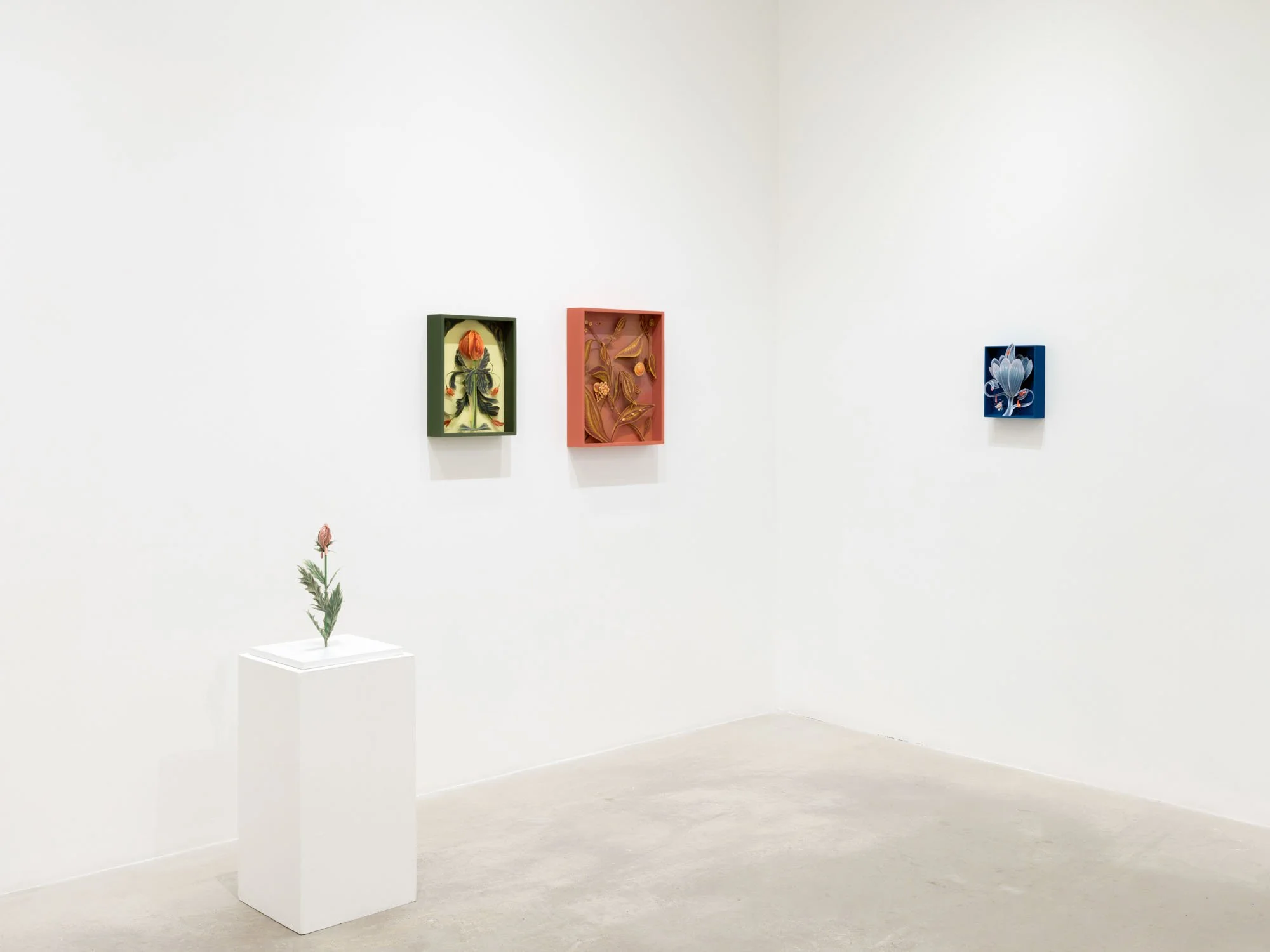 PBG-Five Years-015.jpeg