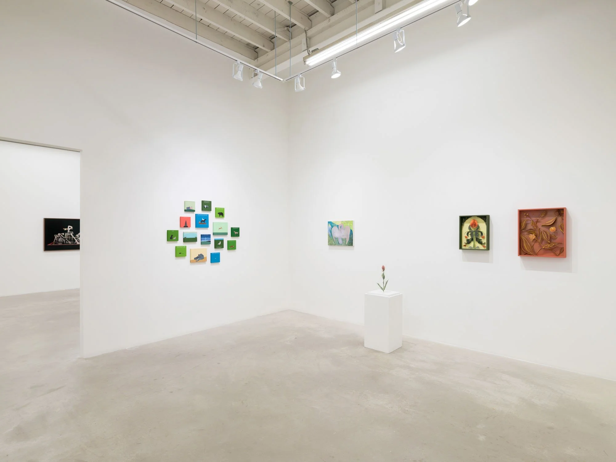 PBG-Five Years-018.jpeg