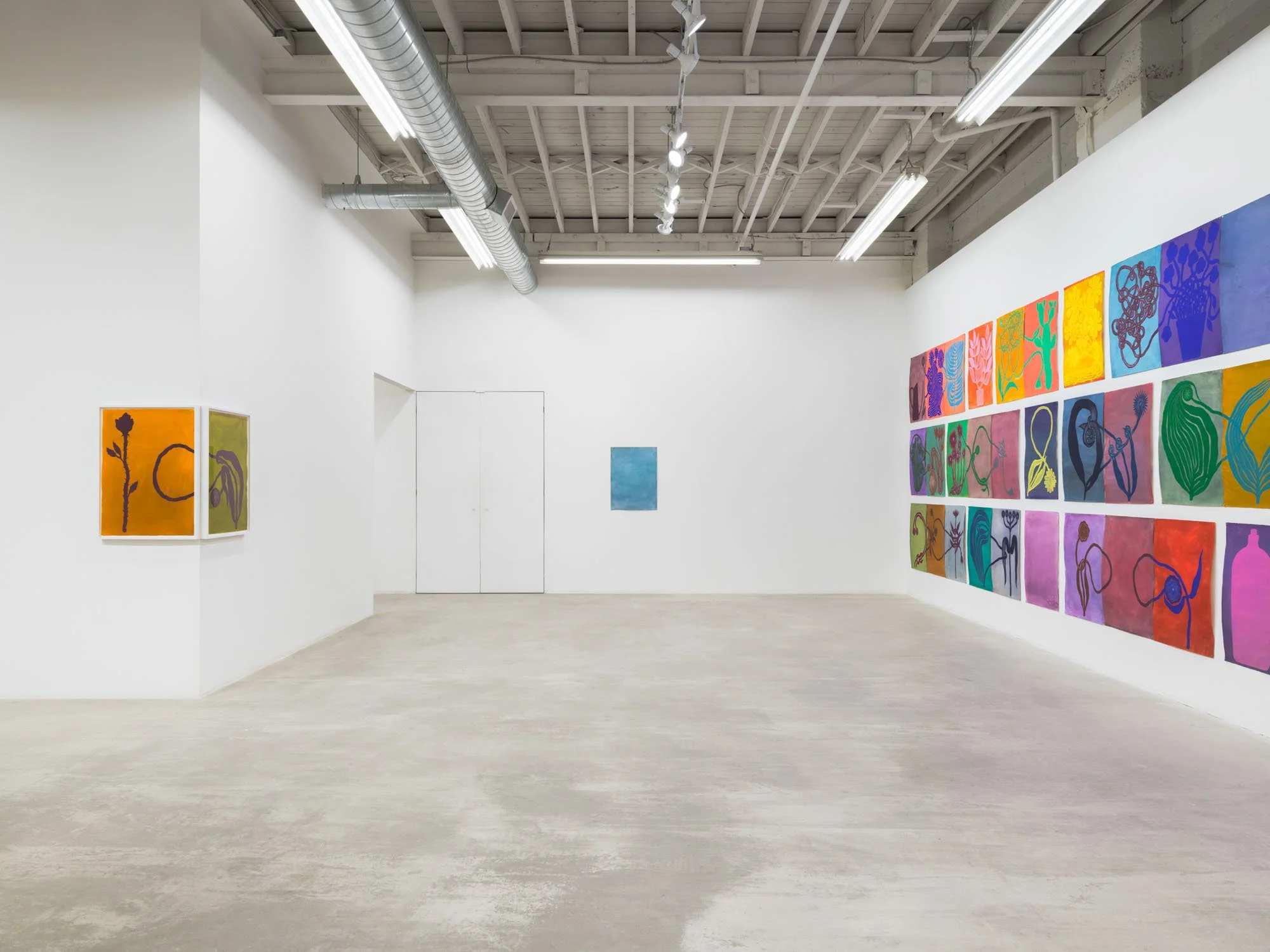 PBG-Balint Zsako-004.jpeg