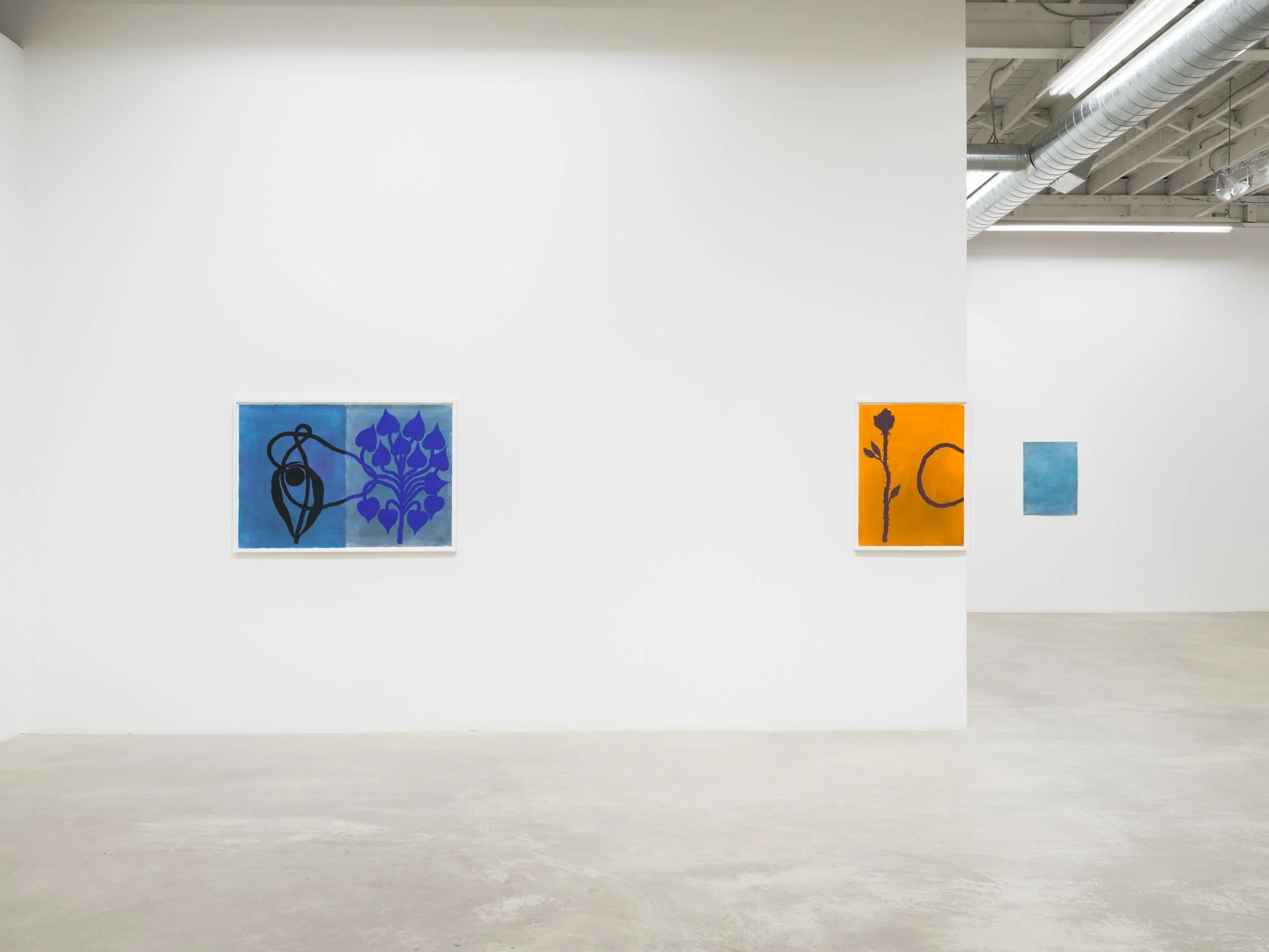 PBG-Balint Zsako-002.jpeg