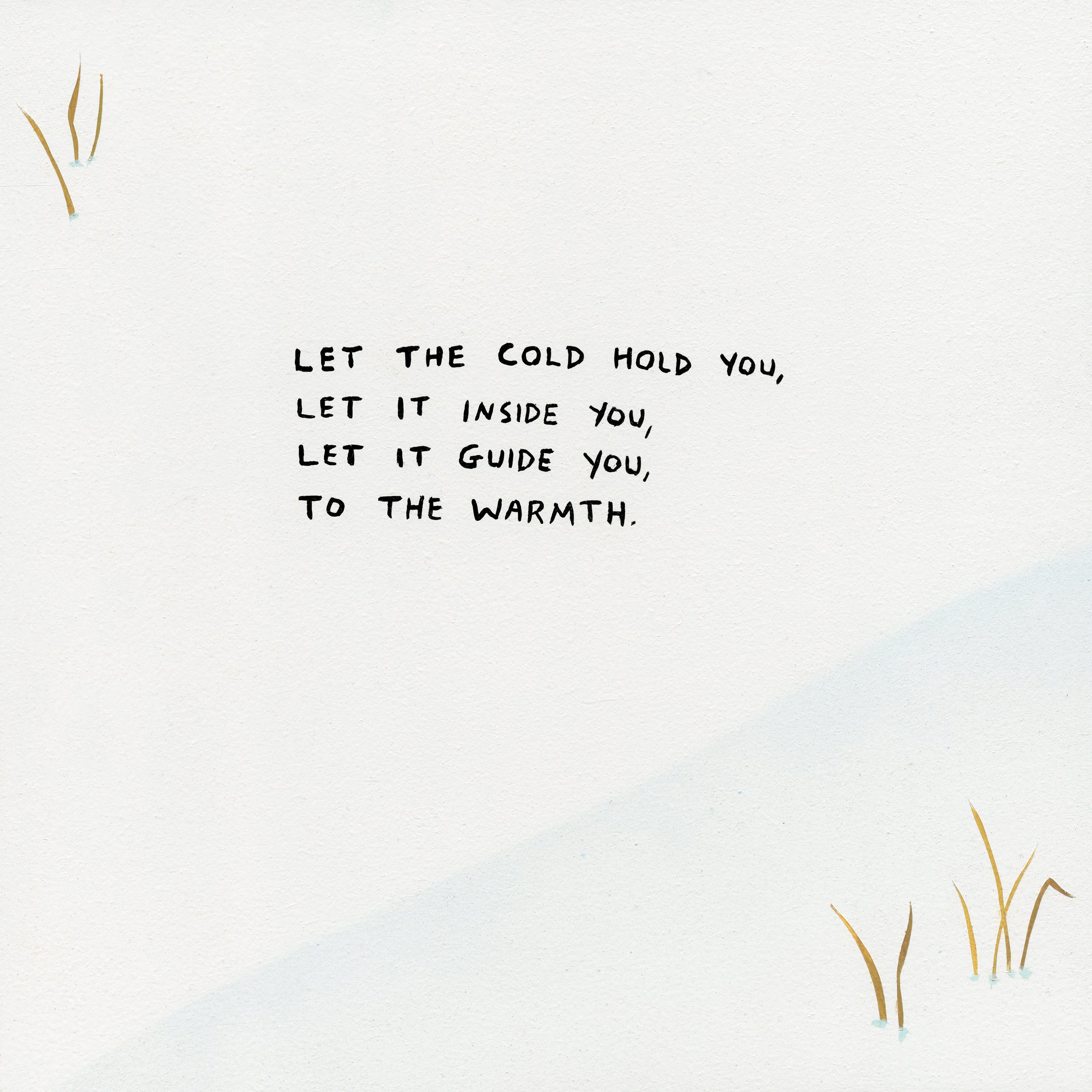 mdnf holiday cards (6).jpeg