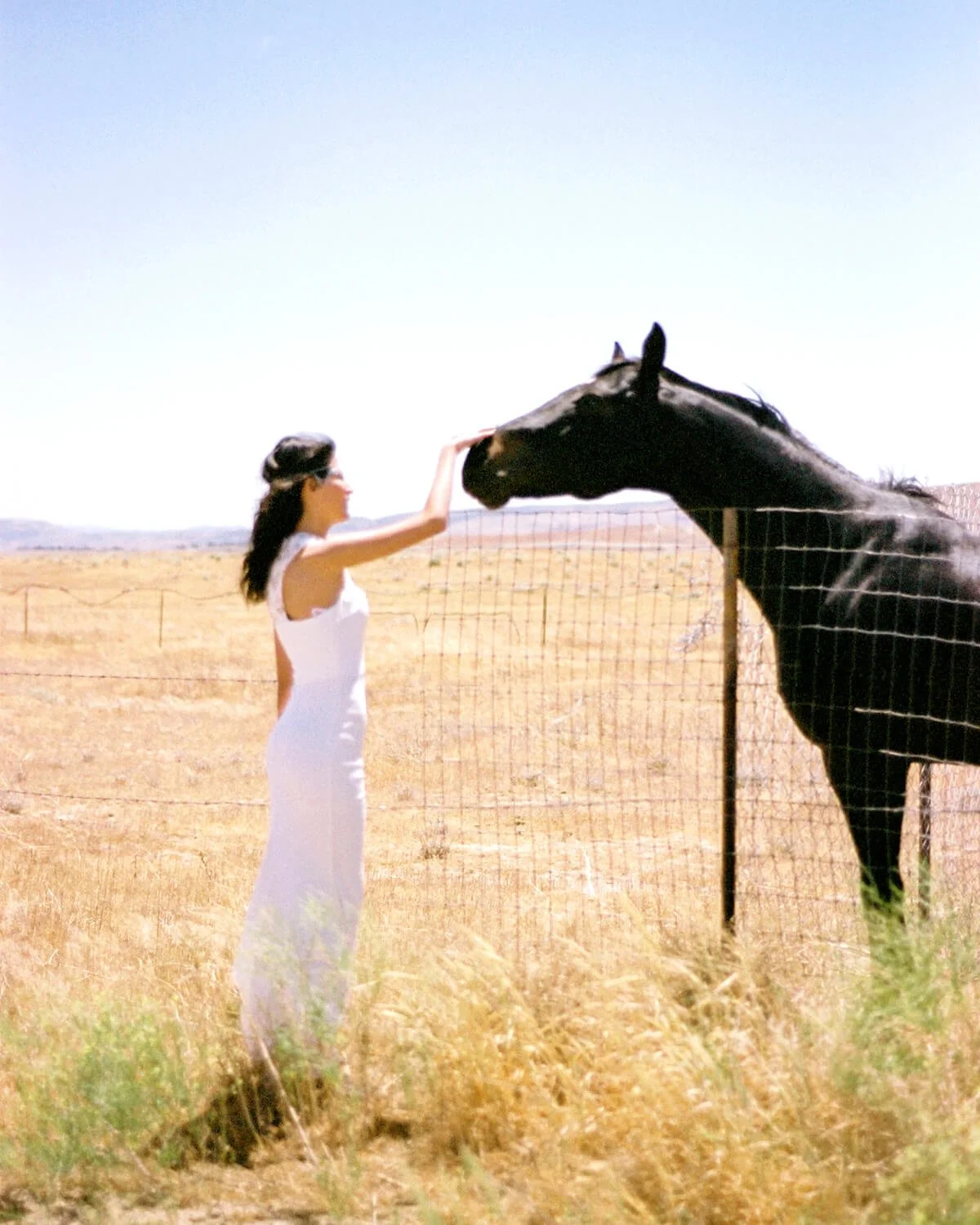 A Quinceañera in a white dress is reaching out and petting a black horse through a wooden fence in a dry, open field under a clear sky.