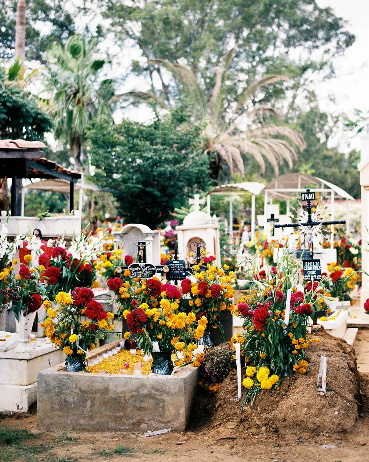 day-of-the-dead-oaxaca.jpg