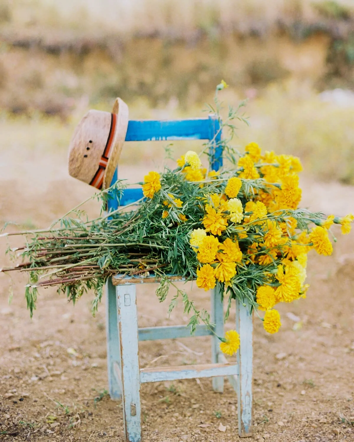 flor-de-muerto.jpg