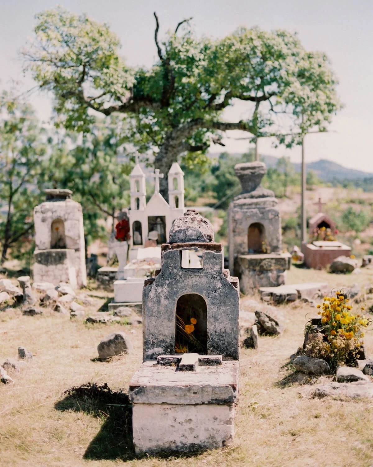 panteon-oaxaca-dia-de-los-muertos.jpg