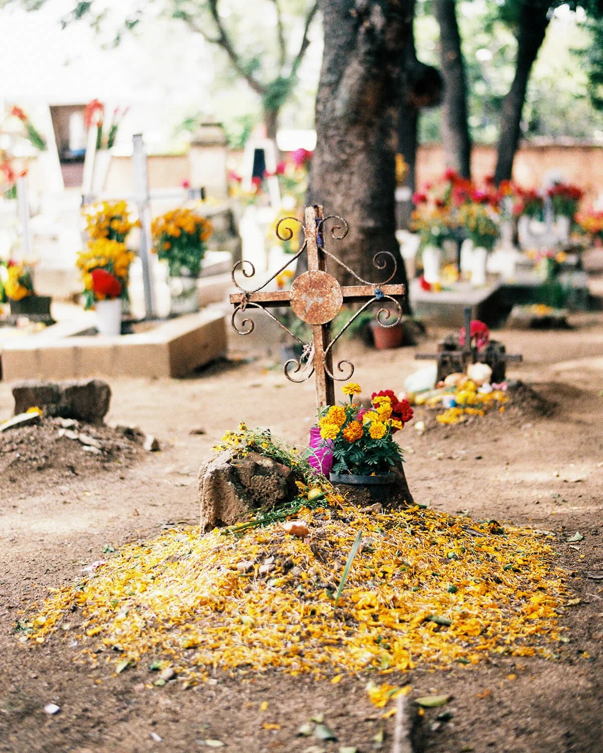 panteon-xoxocotlan-oaxaca-day-of-the-dead.jpg