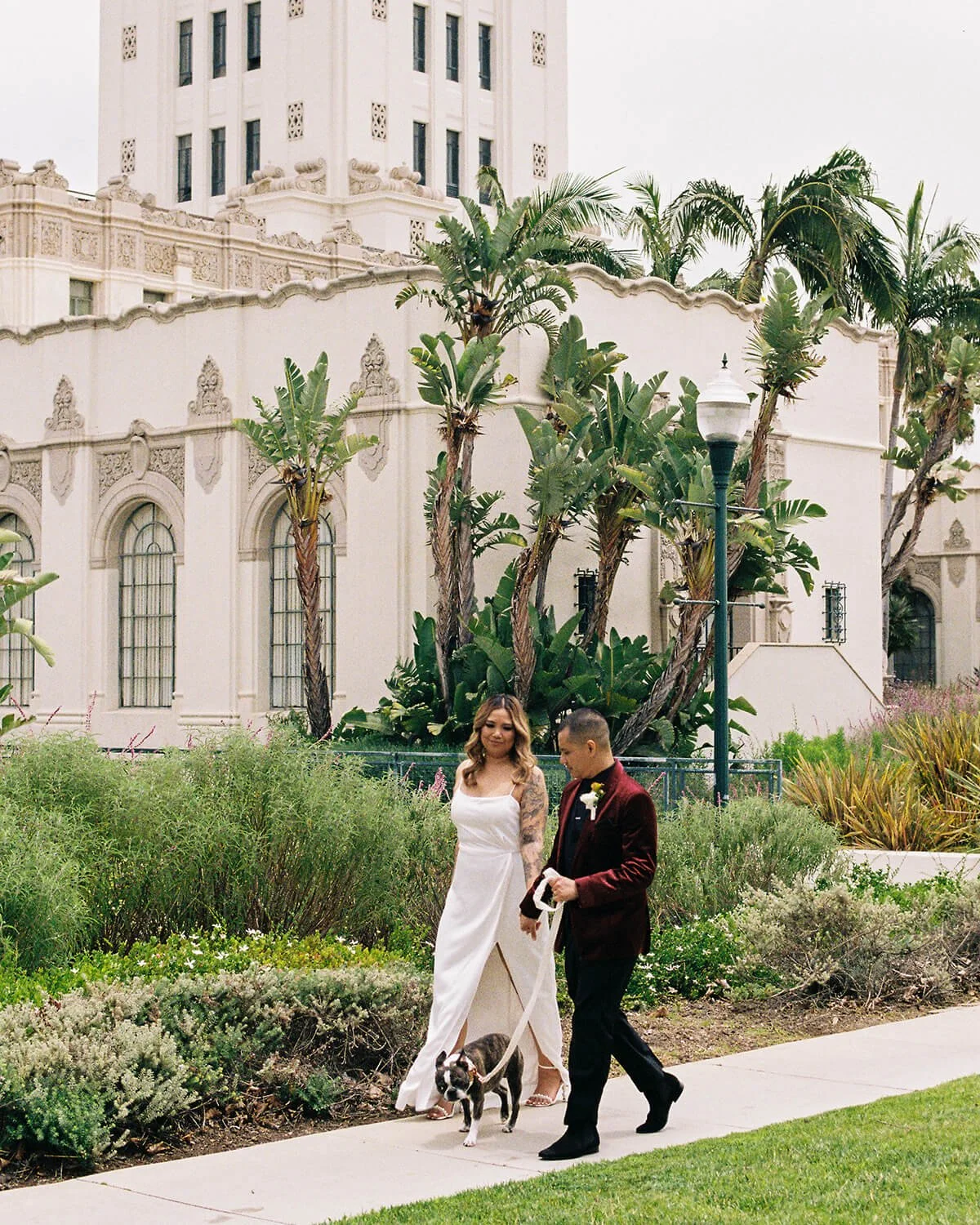 A couple dressed in wedding attire walking their dog in a garden near a white historic building with tall windows and palm trees.
