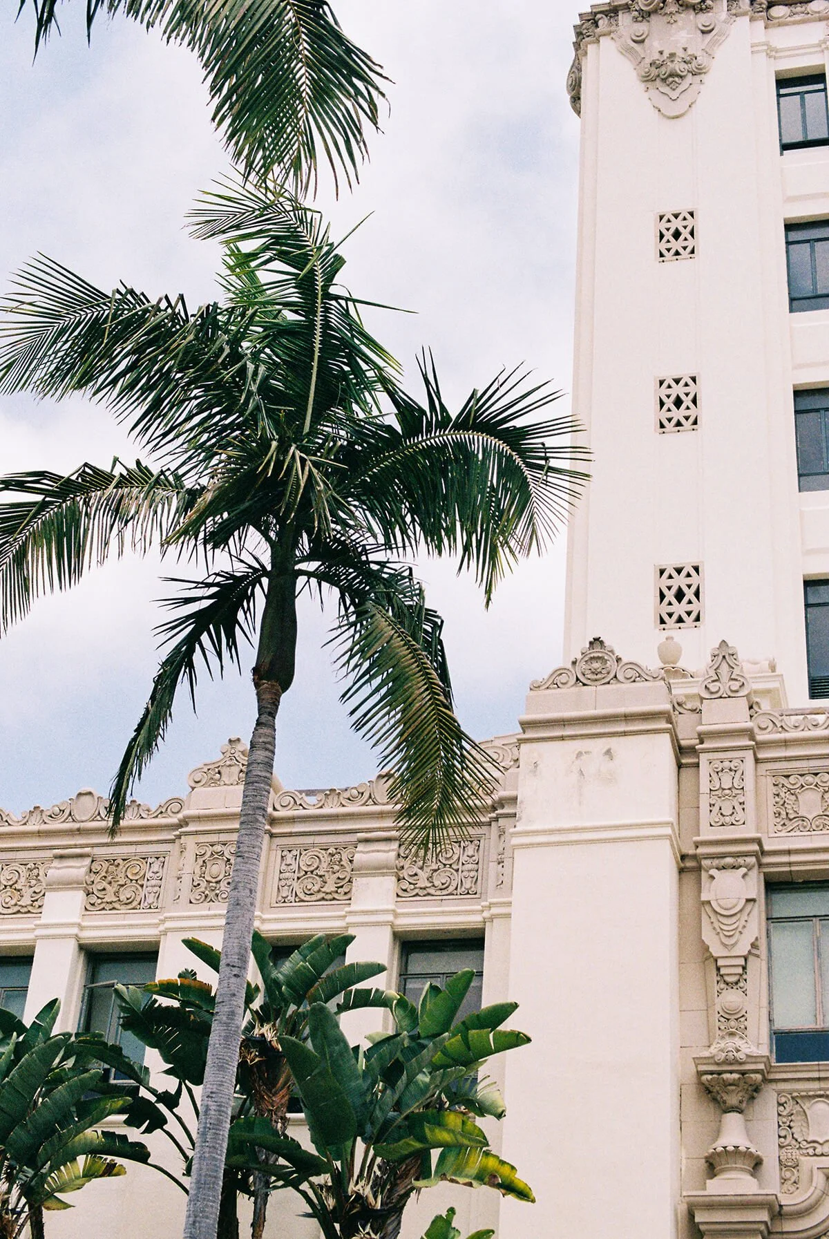 A tall palm tree in front of a beige ornate building with decorative architectural details.