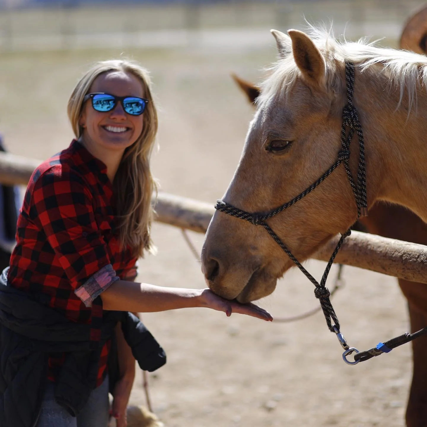 Mark and Samantha Kish #friscomountainhouse have a great connection with Platte Ranch.  Amazing views on 8000 acres in Fairplay, CO.