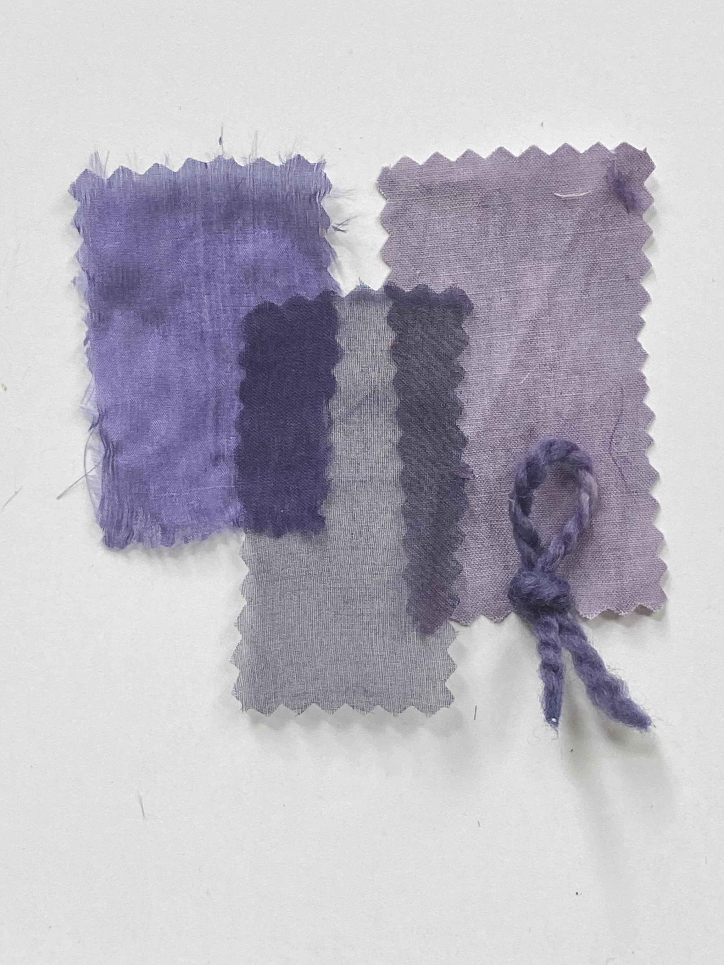 Logwood Dye