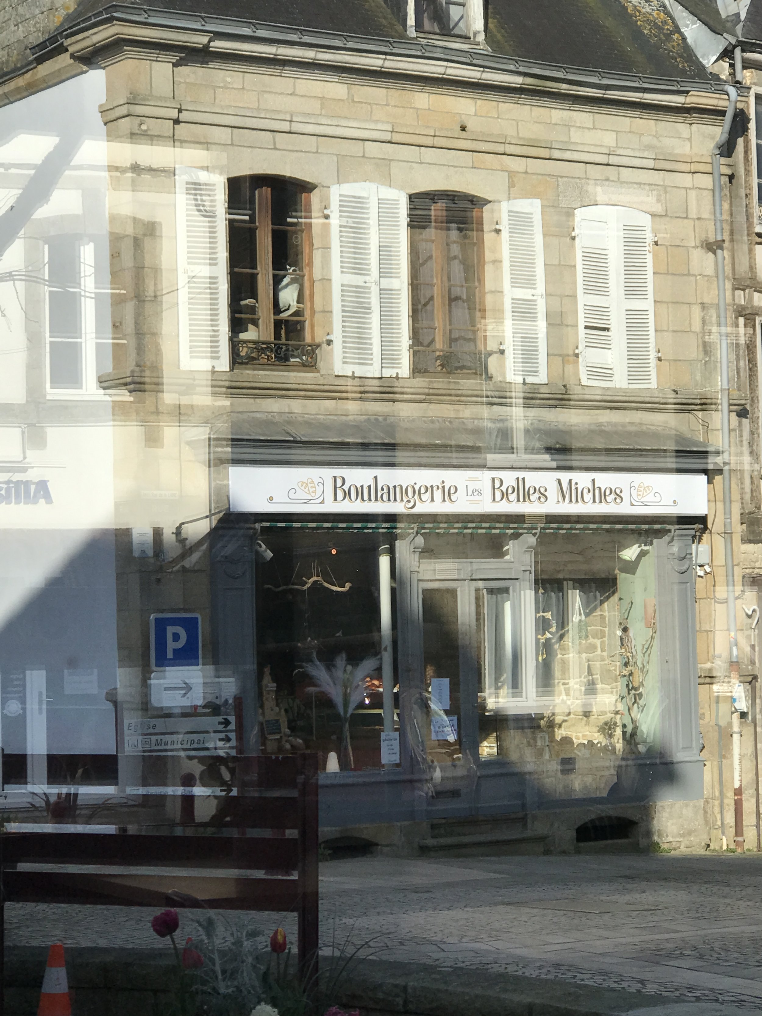 bakery from inside cafe cat in window.JPG