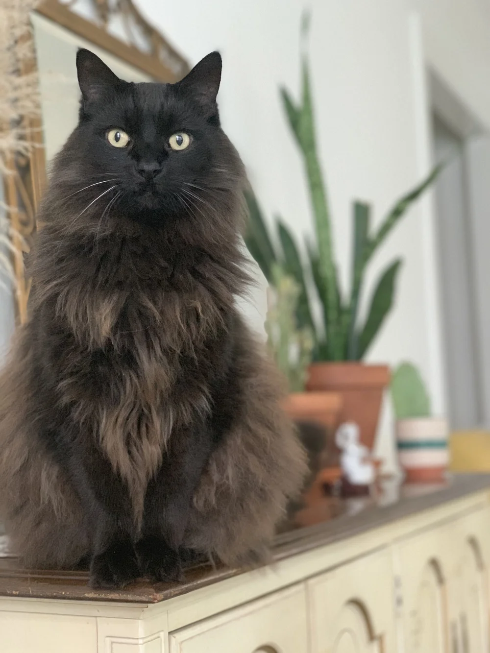 Martin in Seattle, WA