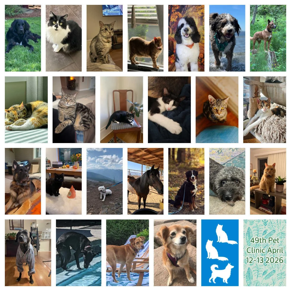 Pet Clinic April 12&amp;13 2026 - General Notes 