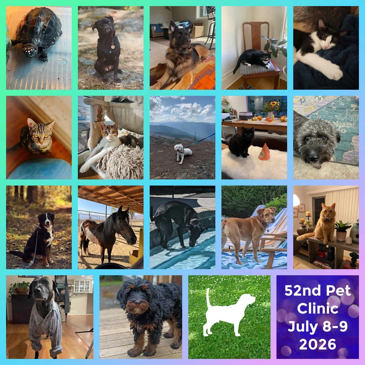 Pet Clinic July 8&amp;9 2026 - General Notes
