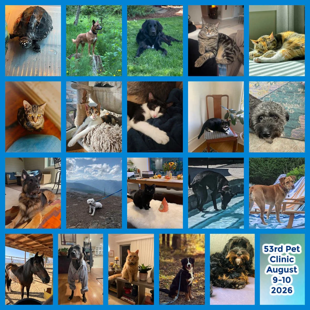 Pet Clinic August 9&amp;10 2026 - General Notes 