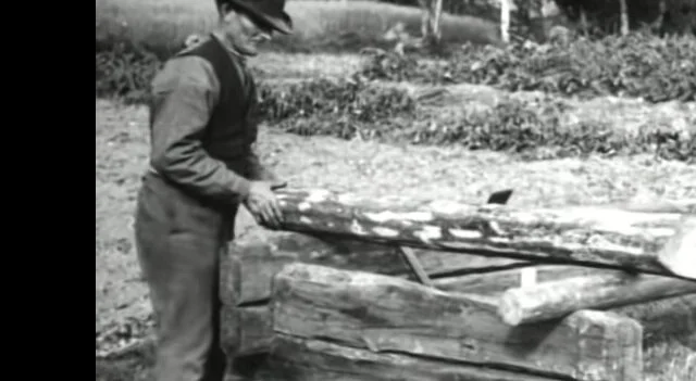 Nordiska museets kulturhistoriska filmer nr 21. Inspelad 24 september 1928 i Floda socken, Dalarna. Regi: Ola Bannbers. Publisert av Hustimring, 2013.