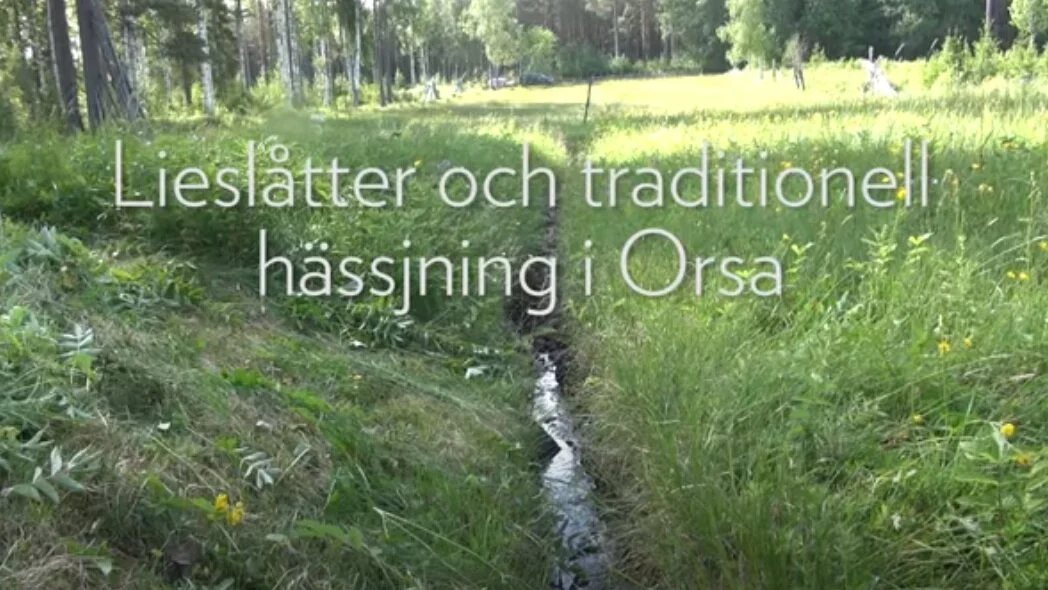 Lieslåtter och traditionell hässjning i Orsa, Sverige. Publisert av Hantverkslaboratoriet, 2017.